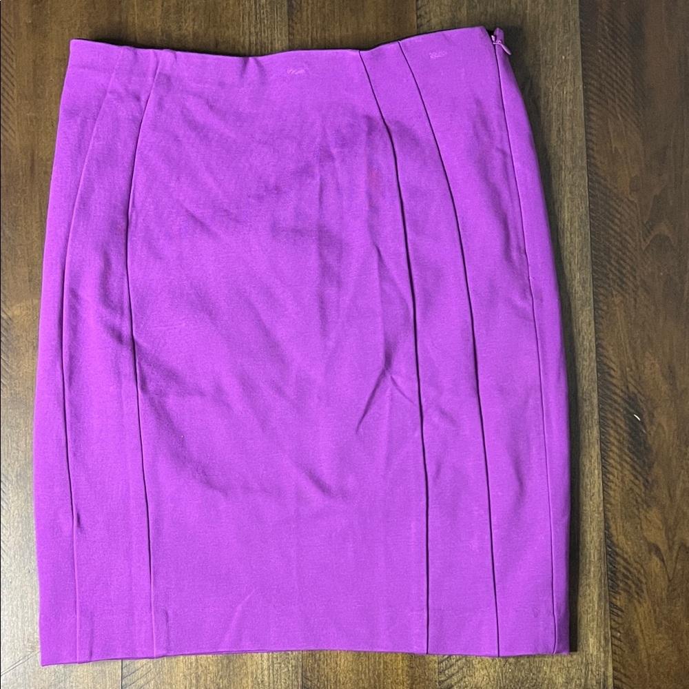 Ann Taylor Elegant Purple Women's Skirt (2) — Stretchy!